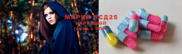apvp Алексин