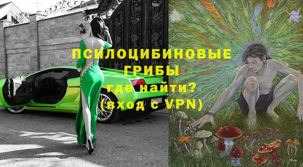 apvp Алексин