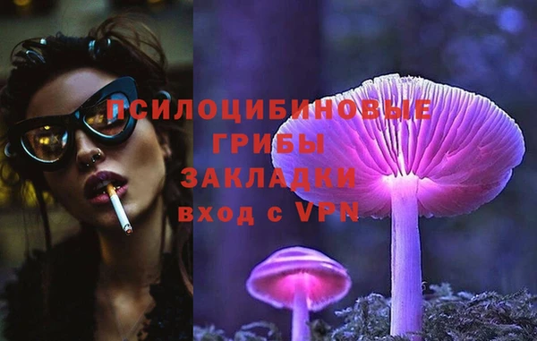 прущие крисы Алексеевка